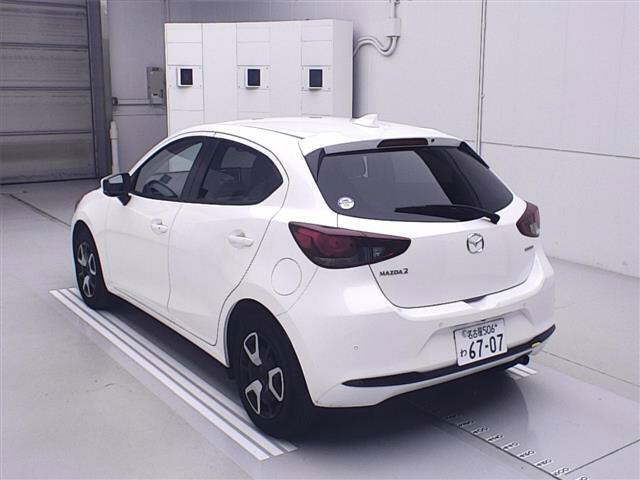 ARRIVING SOON NOVEMBER 2025