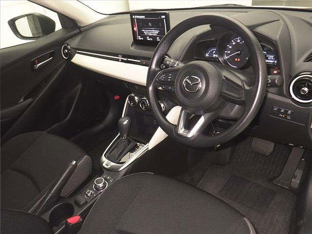 ARRIVING SOON NOVEMBER 2025