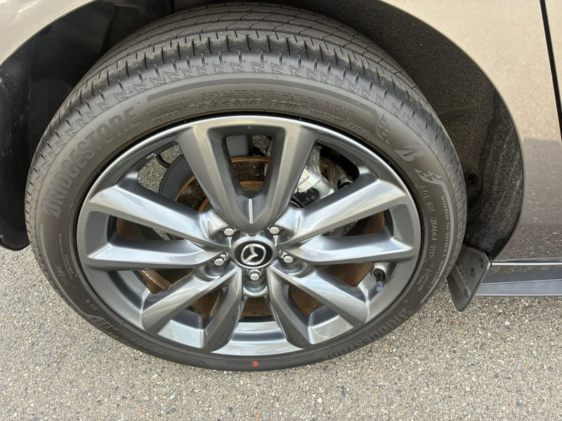 ARRIVING SOON DECEMBER 2025