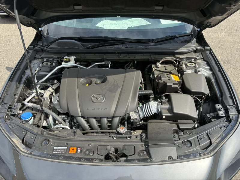 ARRIVING SOON DECEMBER 2025