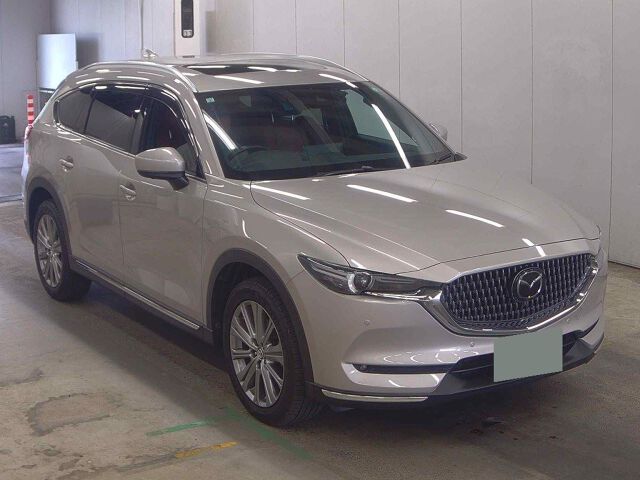 ARRIVING SOON DECEMBER 2025