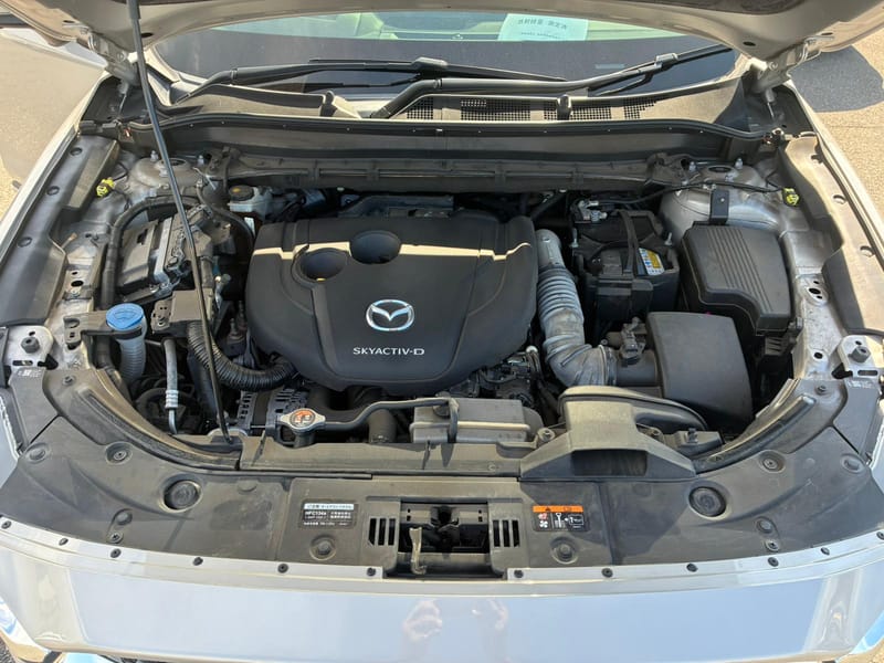 ARRIVING SOON DECEMBER 2025