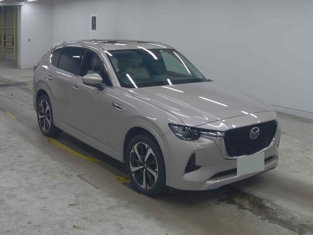 ARRIVING SOON DECEMBER 2025