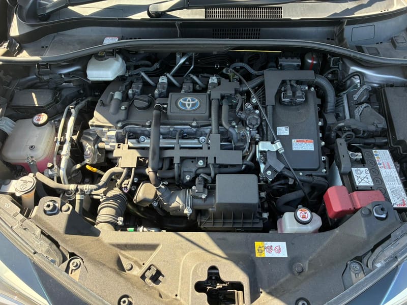 ARRIVING SOON DECEMBER 2025