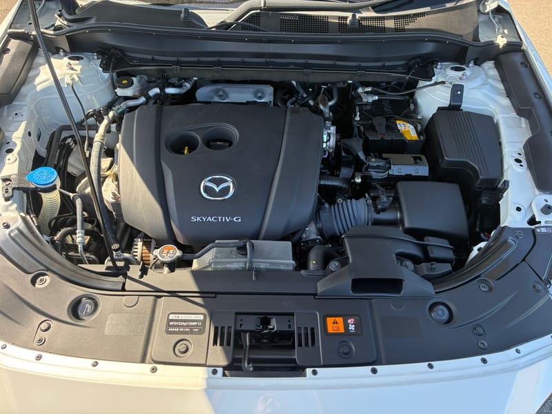 ARRIVING SOON DECEMBER 2025