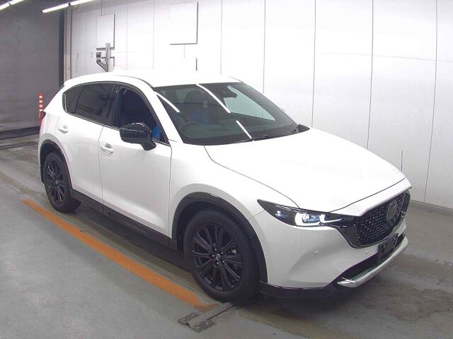 ARRIVING SOON DECEMBER 2025