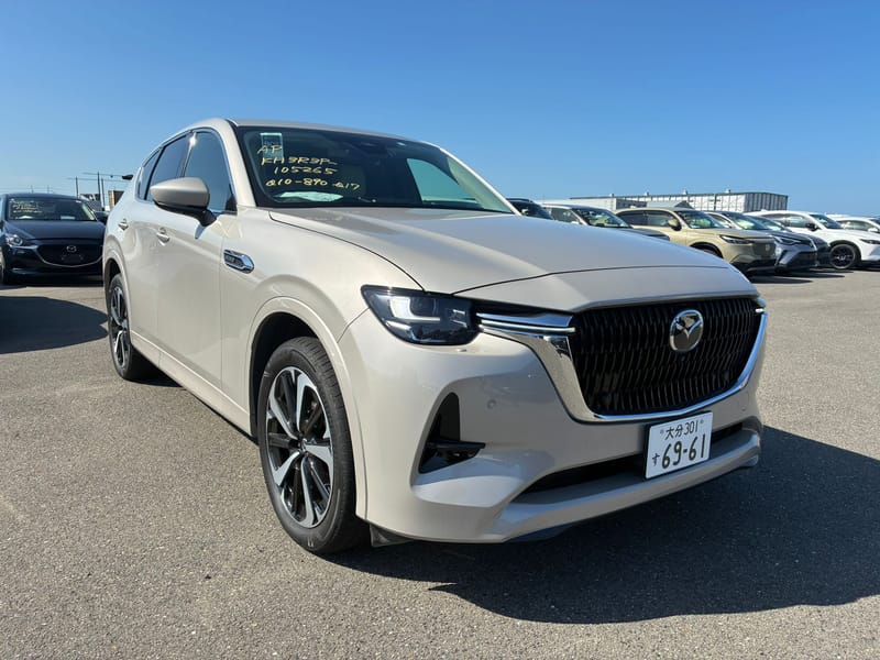 ARRIVING SOON DECEMBER 2025