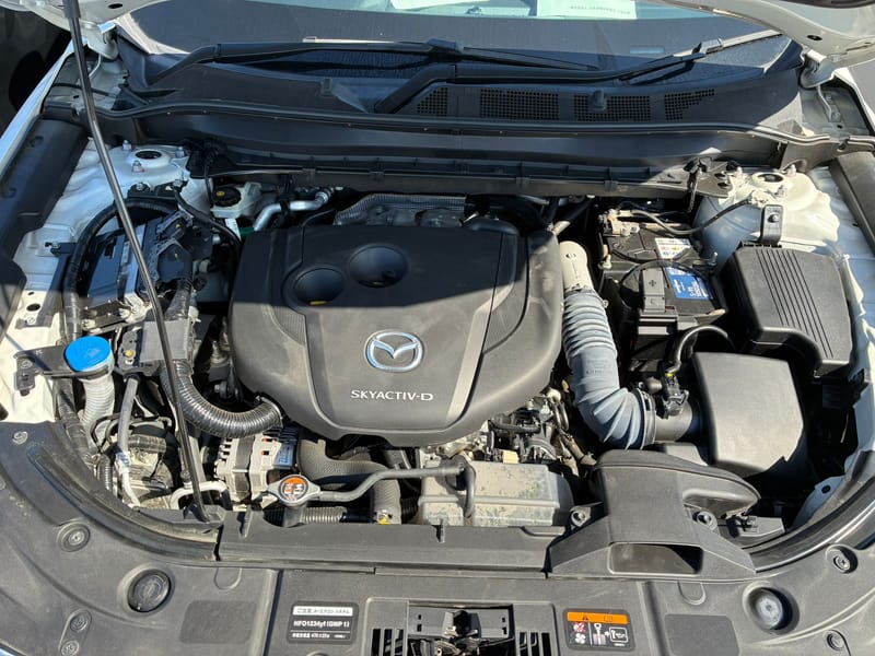 ARRIVING SOON JANUARY 2026