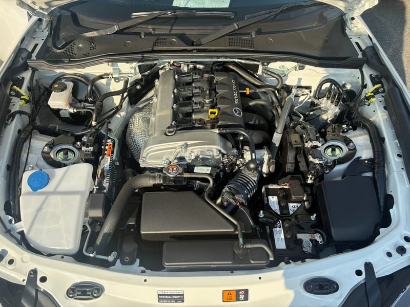 ARRIVING SOON JANUARY 2026