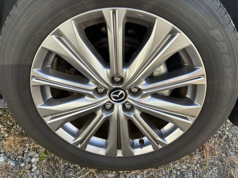 ARRIVING SOON FEBRUARY 2026