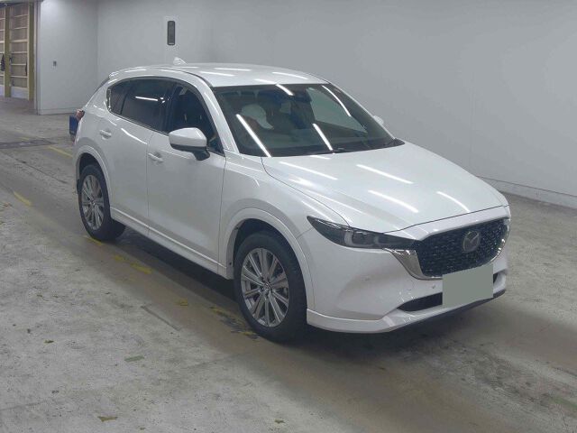 ARRIVING SOON FEBRUARY 2026