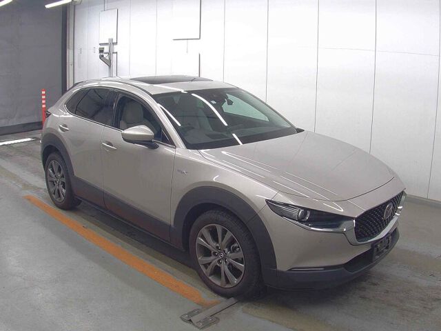 ARRIVING SOON MARCH 2026