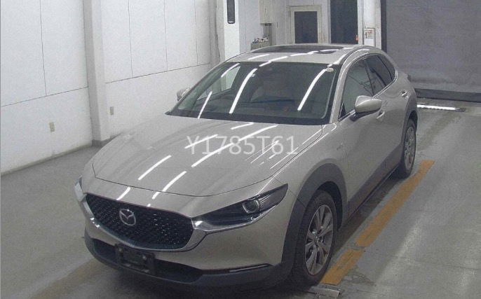 ARRIVING SOON MARCH 2026