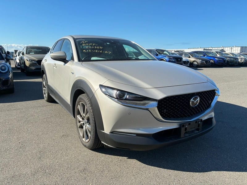 ARRIVING SOON MARCH 2026