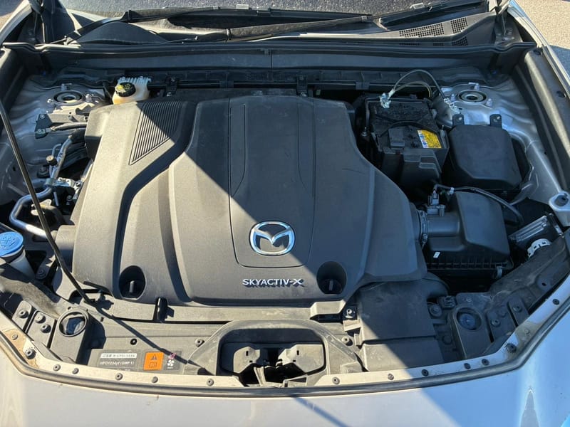 ARRIVING SOON MARCH 2026