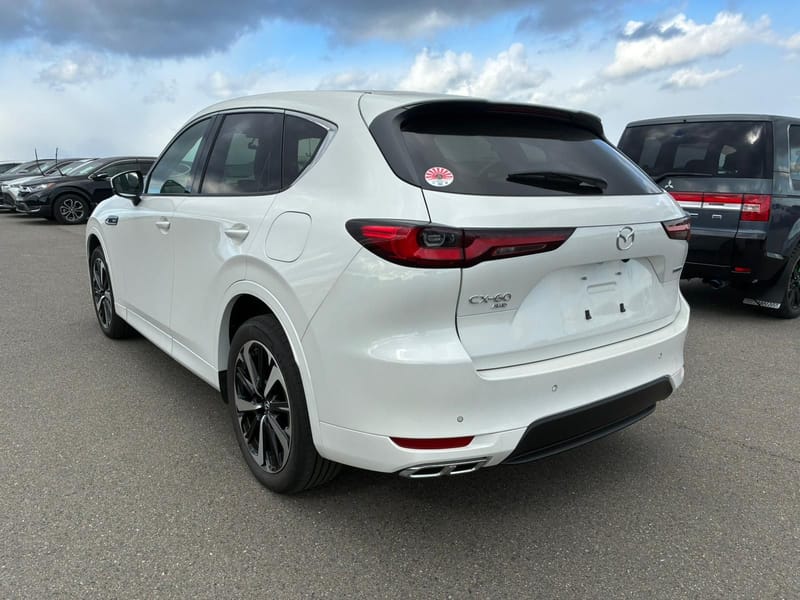 ARRIVING SOON MARCH 2026