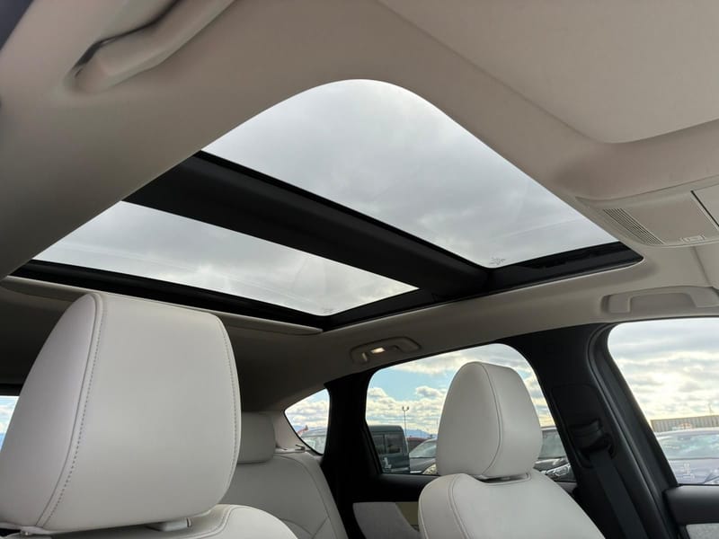 ARRIVING SOON MARCH 2026