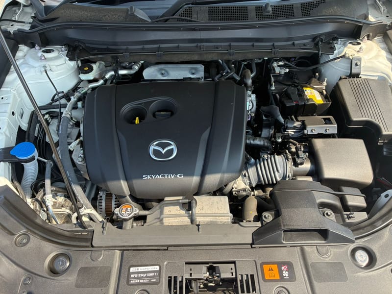 ARRIVAL SOON JUNE 2026