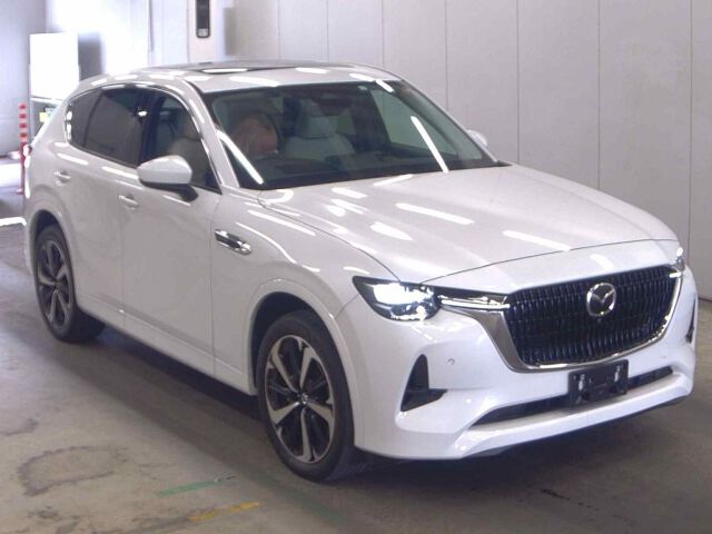 ARRIVING SOON JUNE 2026