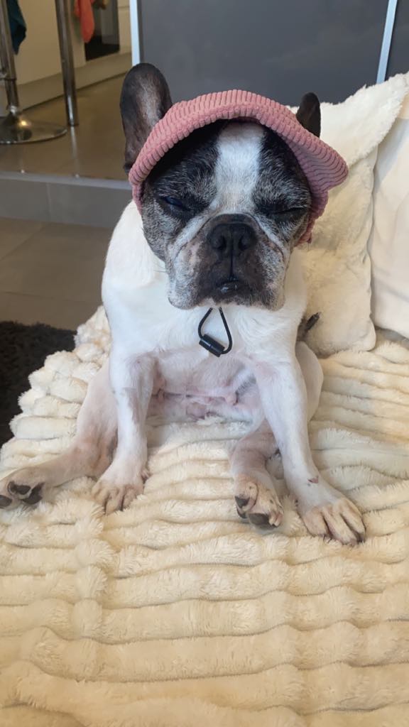 Soins et Visites Vétérinaires