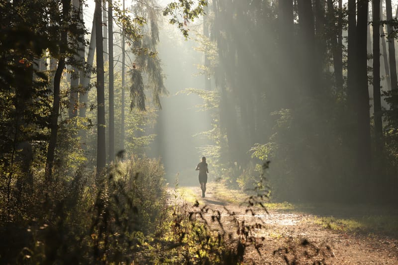 Stody Estate Trail Run 2nd March 2025