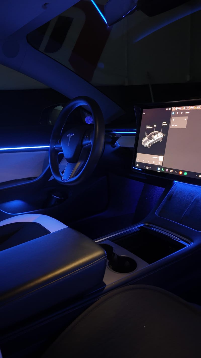 Telsa model 3 US 2021