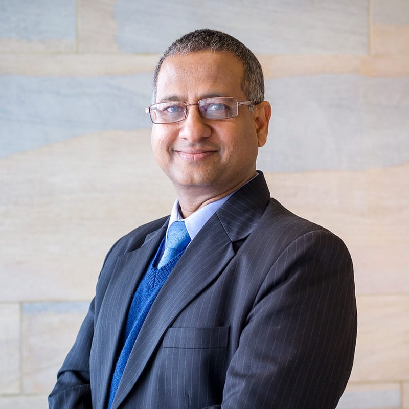 Professor Ahmed Shaheed