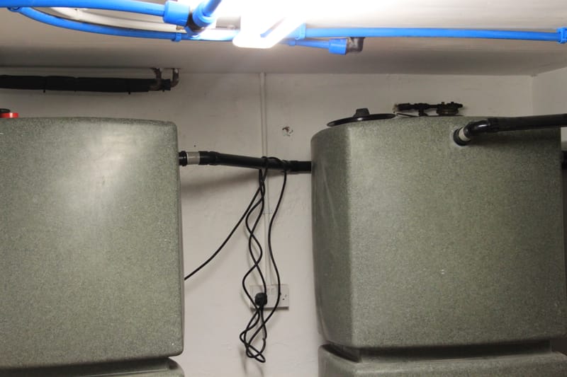 Streatham Common Road 2014/2015