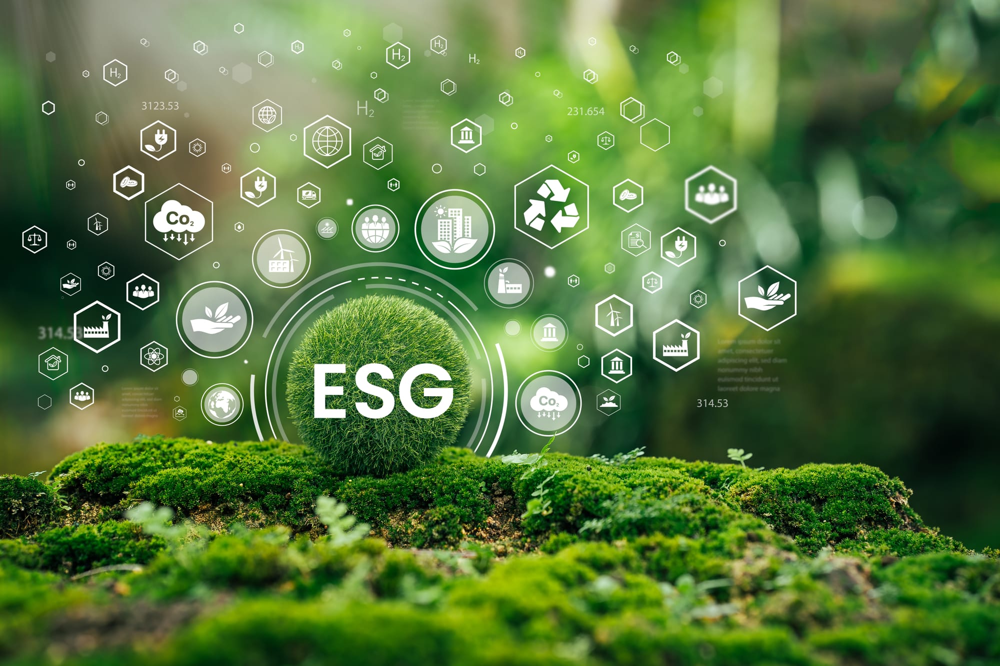 ESG Planning and Solutions Provider