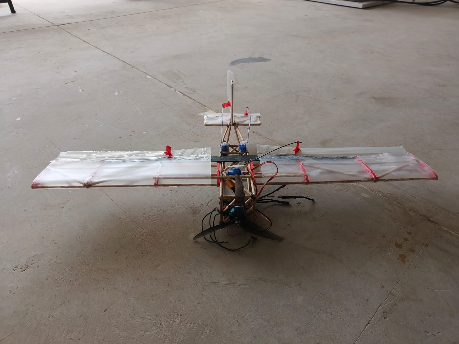 skeleton plane
