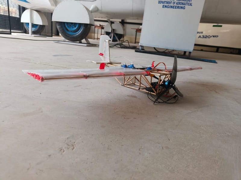 skeleton plane
