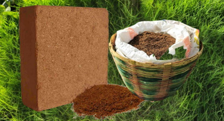 Coco peat