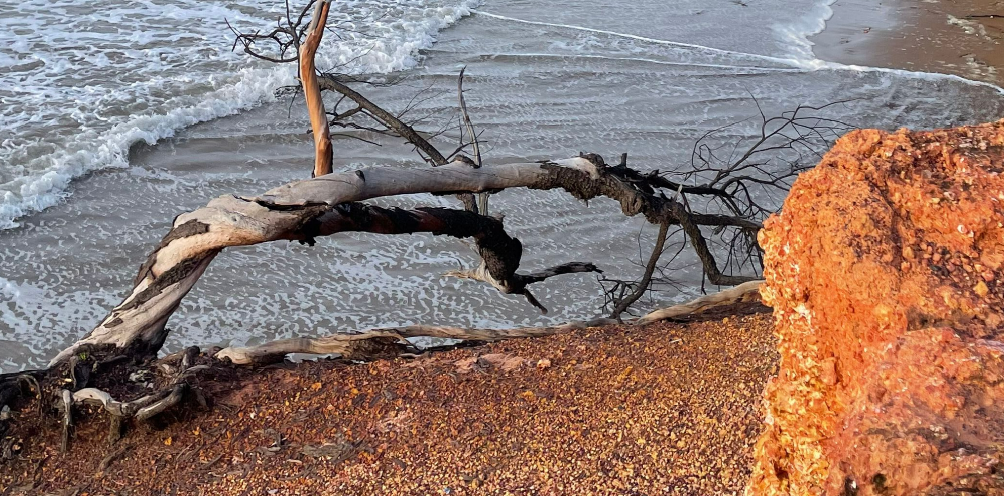 News: New Indigenous Alliance Changing the Way Biodiversity is Managed
