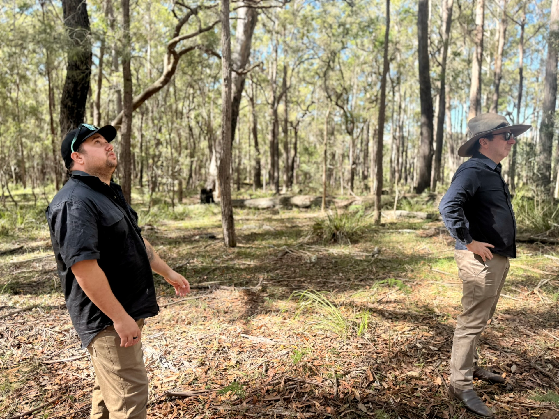 Bega Biodiversity Project