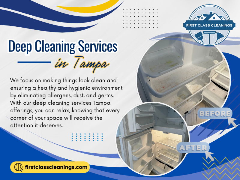 Deep Cleaning Services in Tampa