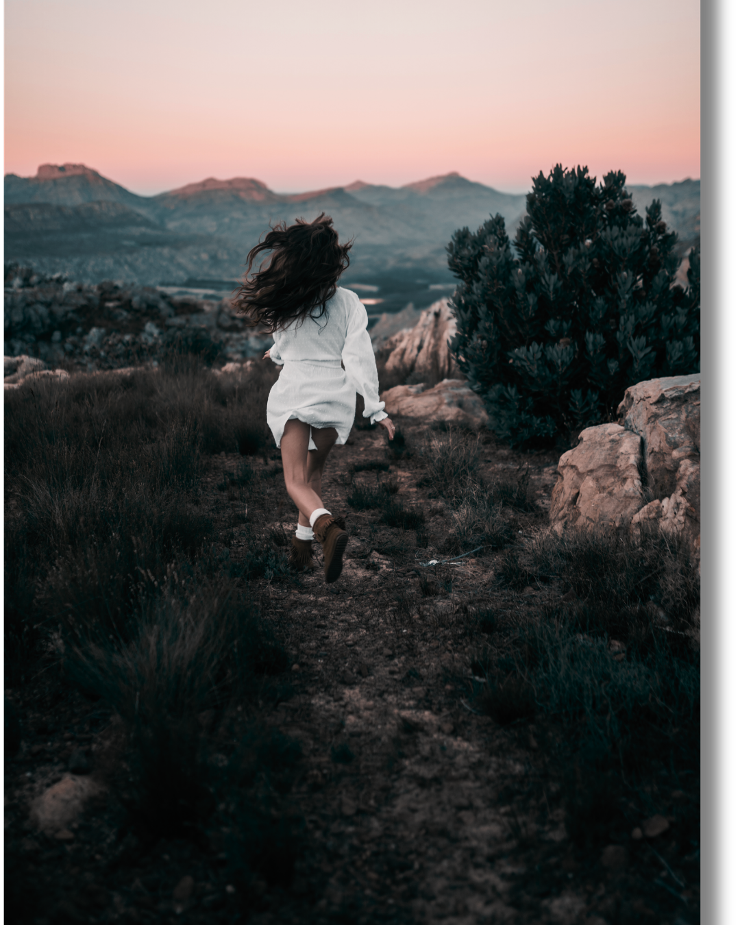 🌿Vivre en hypervigilance permanente