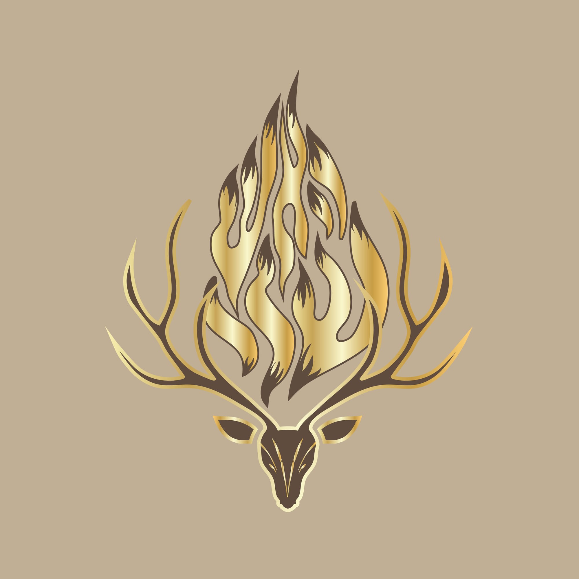 כאייל תערוג | מוצרי קדושה 