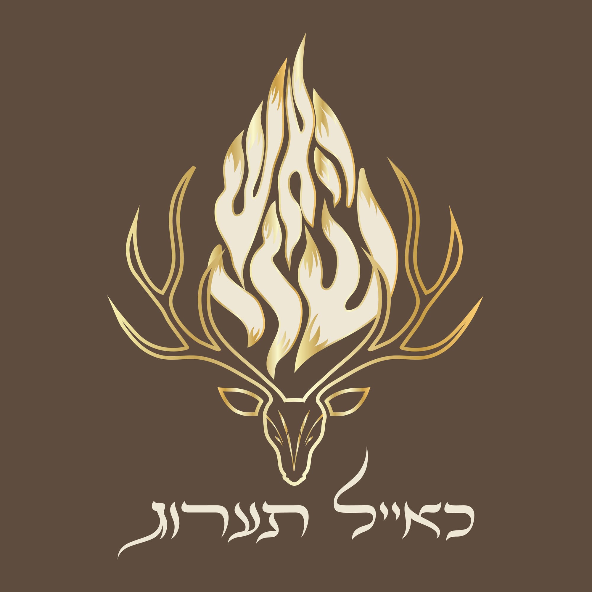 כאייל תערוג | מוצרי קדושה 