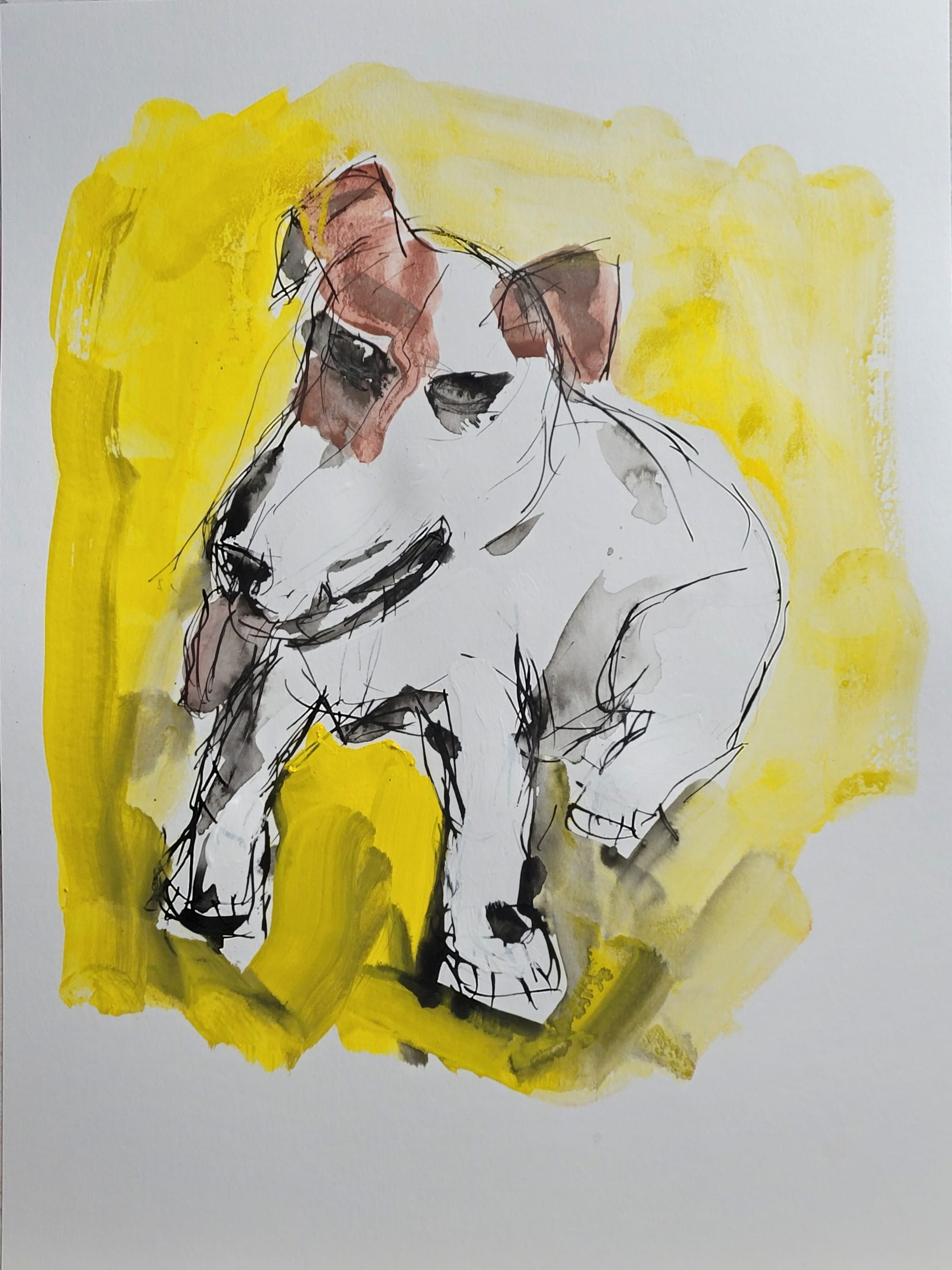 Etude pour Jack Russel terrier