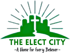 The Elect City