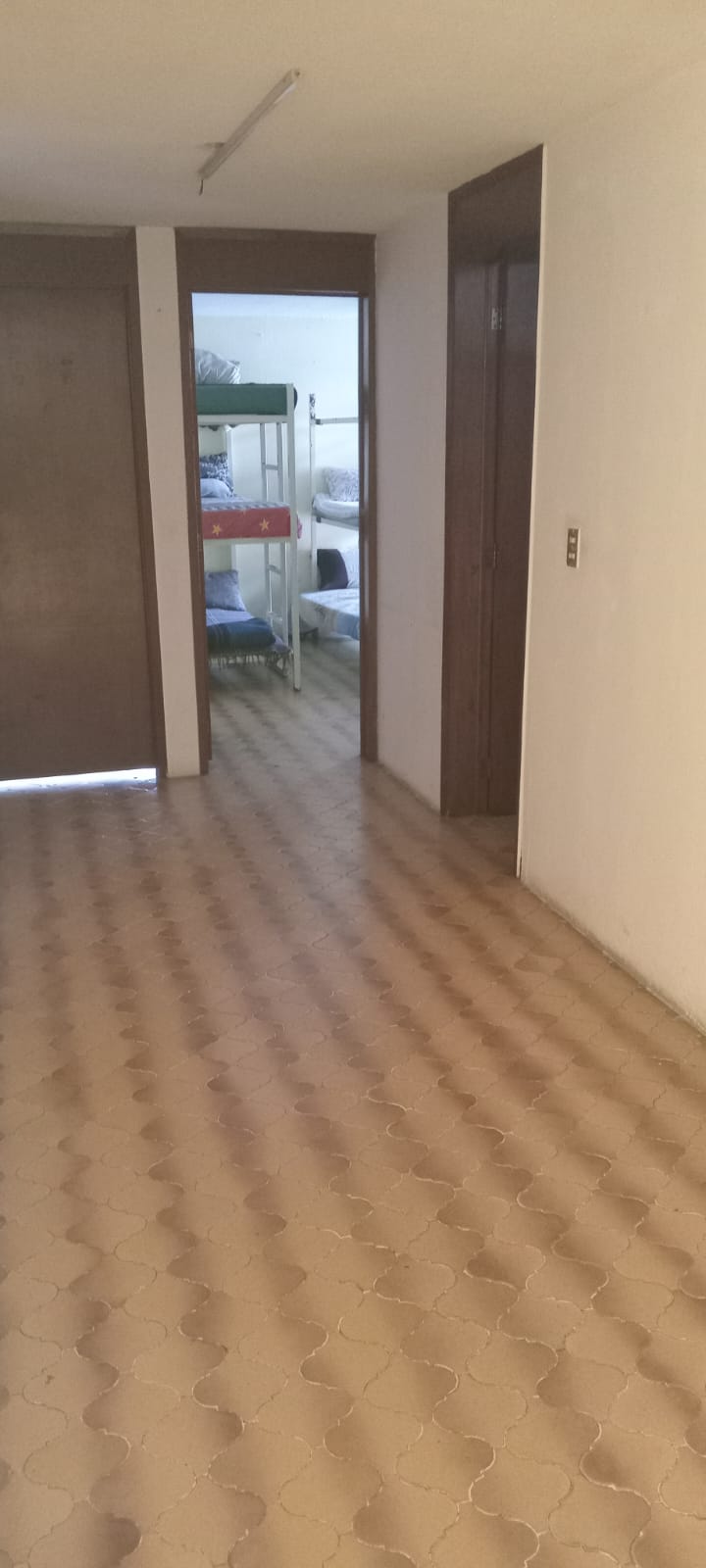 Planta Alta Juvenil