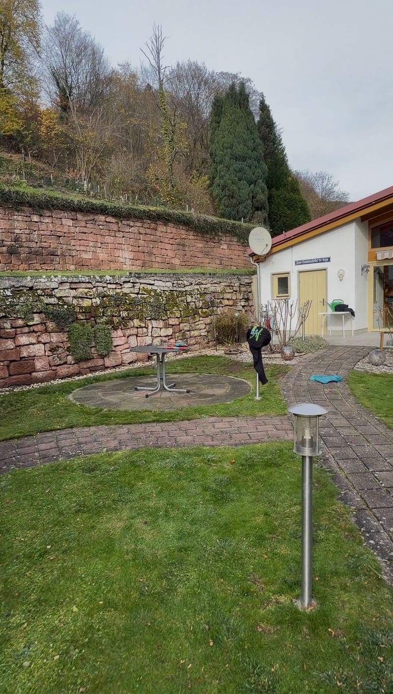 Grünpflege / Garten