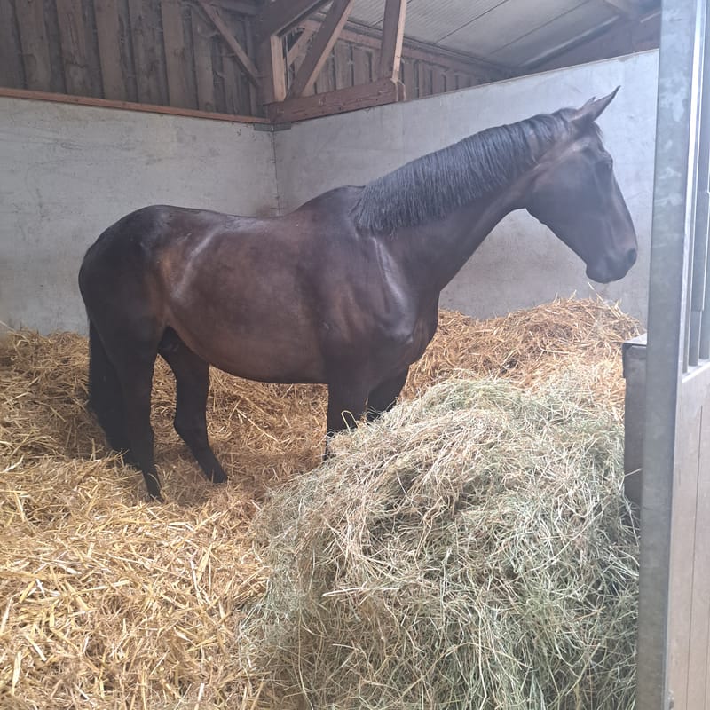 Consultation Personnalisée