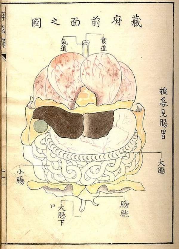 Japanese Acupuncture