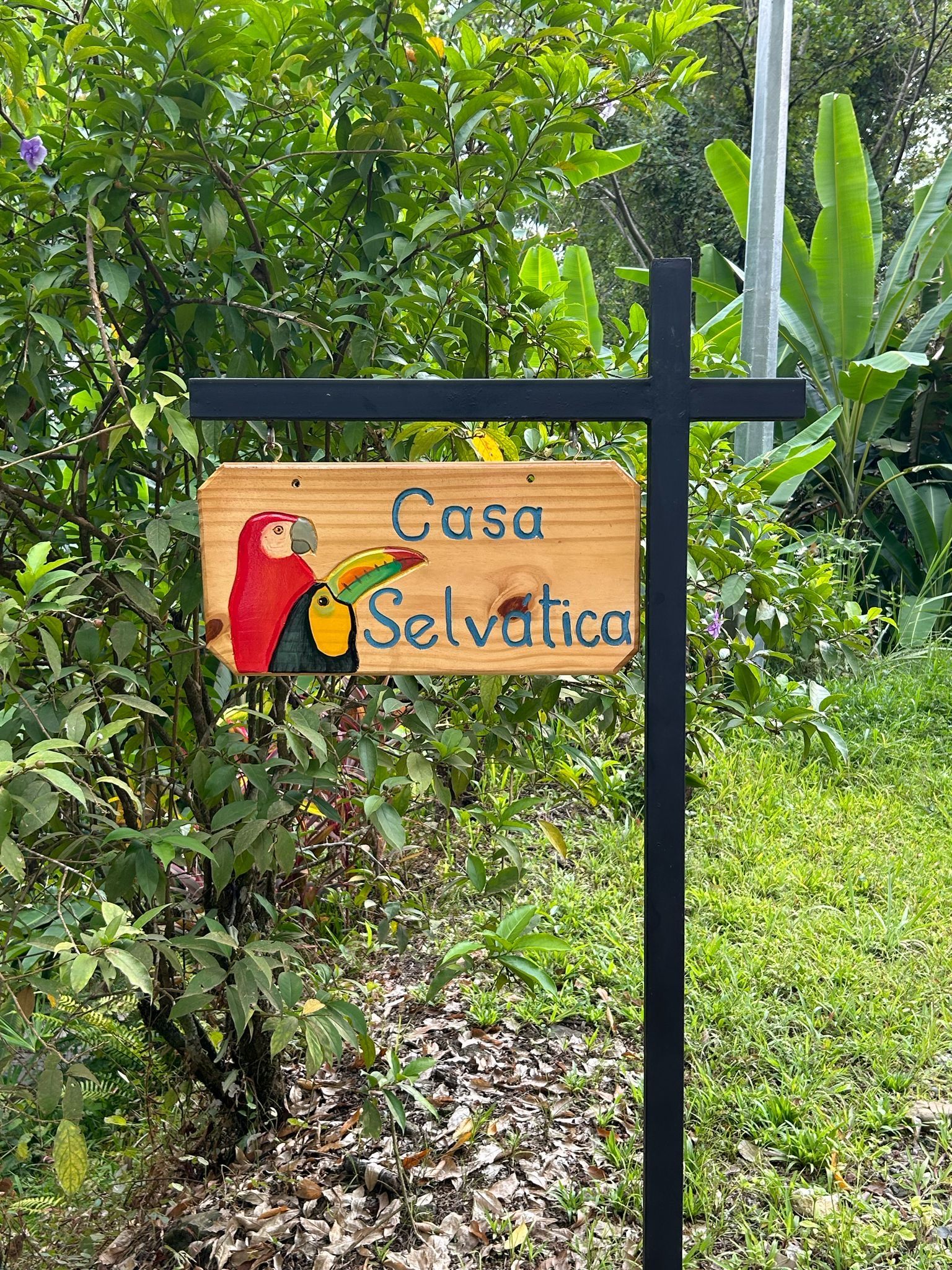 Casa Selvatica