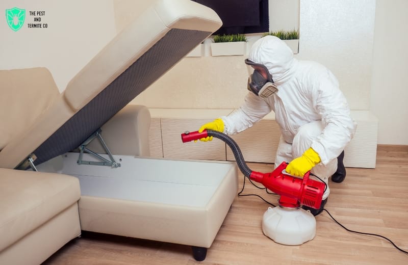 Termite Inspection Brisbane: Safeguarding Your Home from Hidden Threats