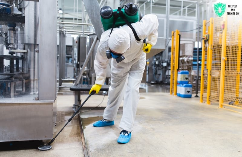 Eco-Friendly Termite Inspection Methods and Why They’re Effective