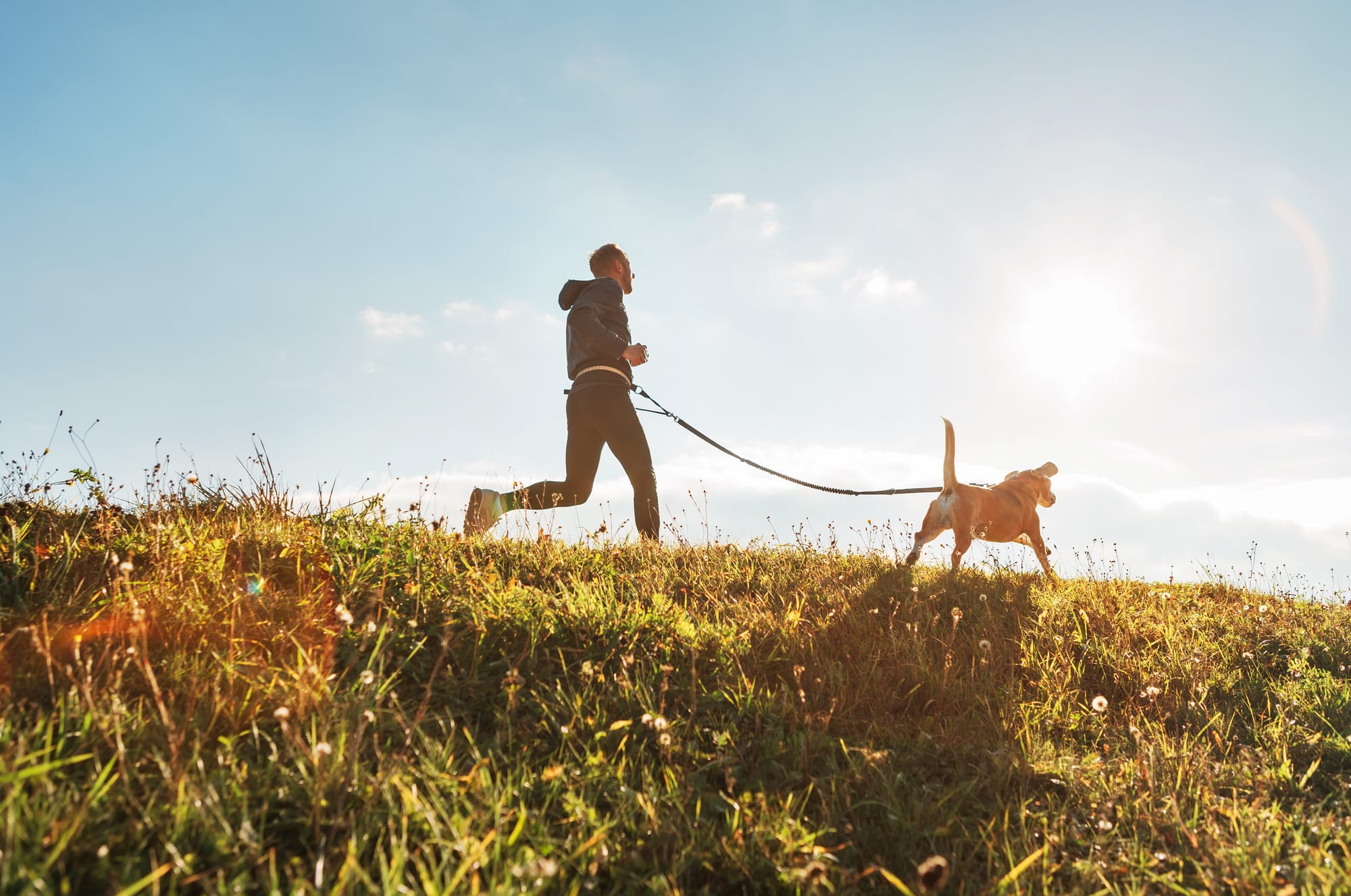 Quality Pet Products with a Purpose: Our Commitment to Giving Back