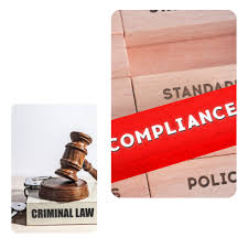 Compliance Penal- Compliance Officer