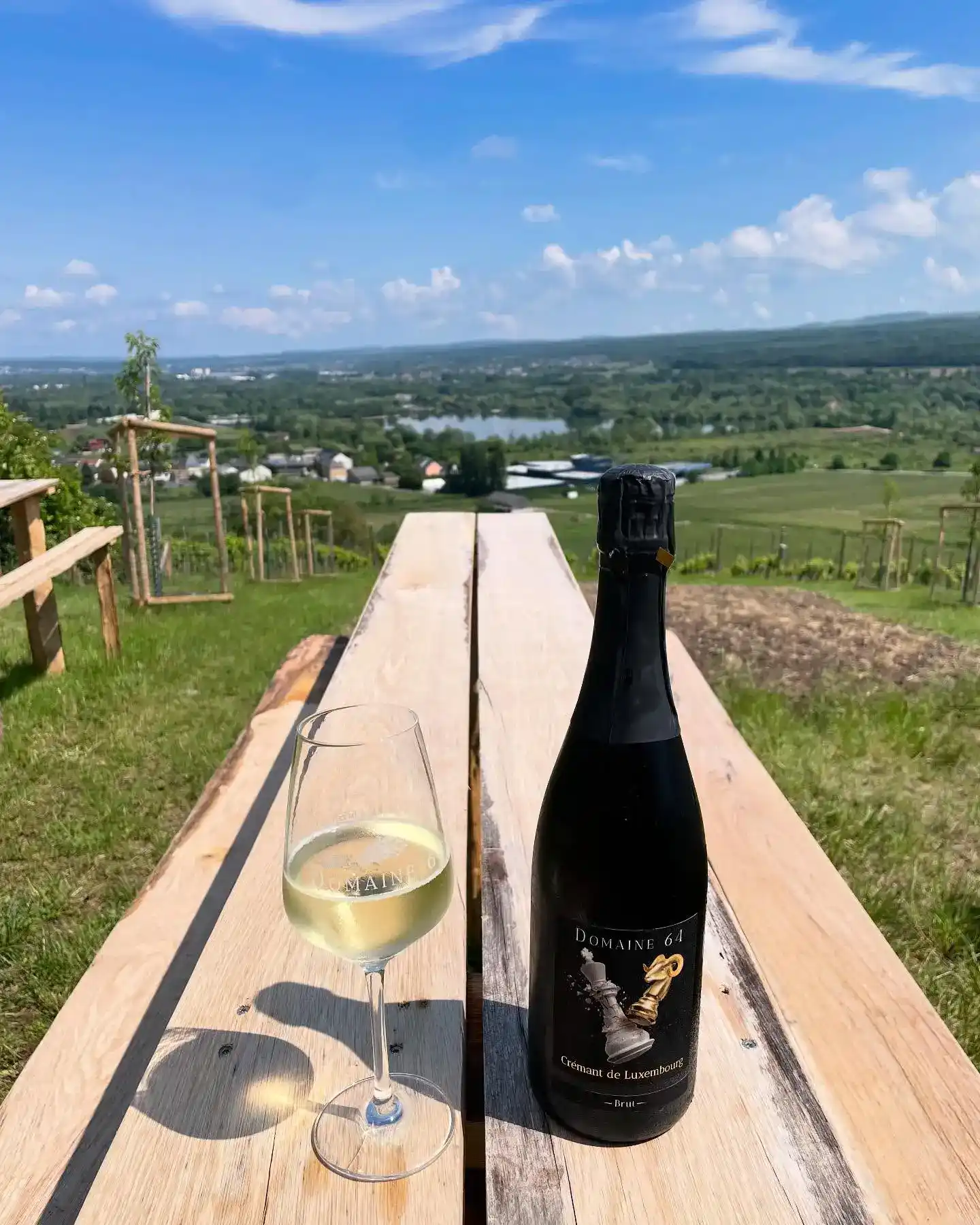 Moselle Wine Route & Schengen